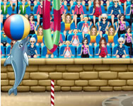 My dolphin show 6 HTML5 online