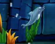 My dolphin show 7 HTML5 H2o ingyen játék