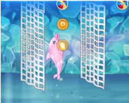 My dolphin show 3 HTML5 H2o ingyen játék